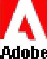     Adobe