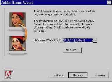  Adobe Gamma